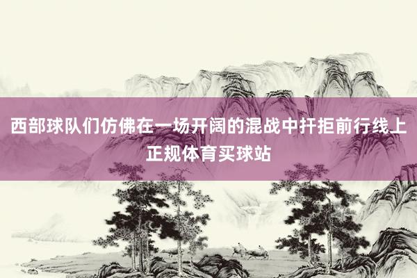 西部球队们仿佛在一场开阔的混战中扞拒前行线上正规体育买球站