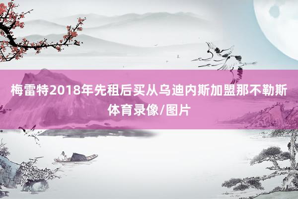 梅雷特2018年先租后买从乌迪内斯加盟那不勒斯体育录像/图片