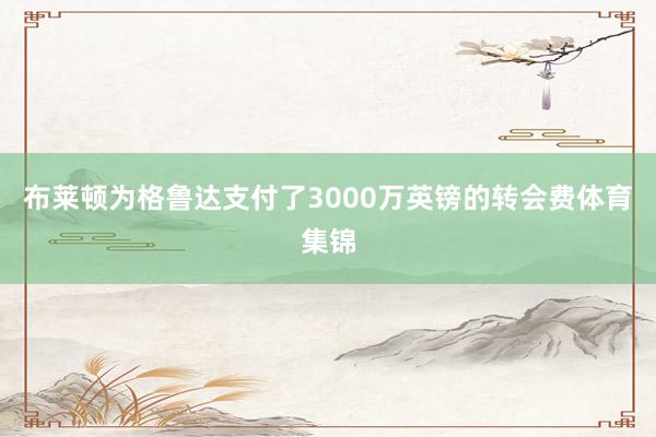 布莱顿为格鲁达支付了3000万英镑的转会费体育集锦