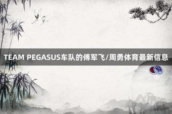 TEAM PEGASUS车队的傅军飞/周勇体育最新信息